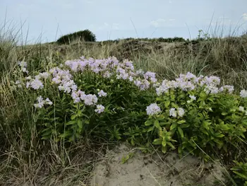 Bredene (België)